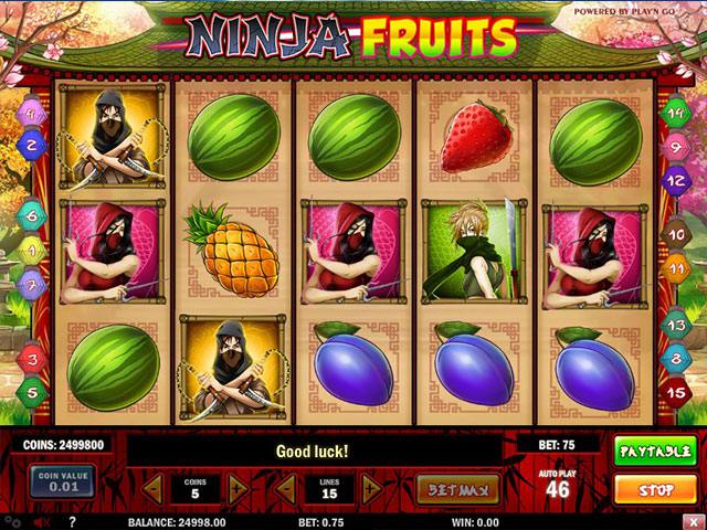 Spelautomater Ninja Fruits PlaynGo SS - wyrmspel.com