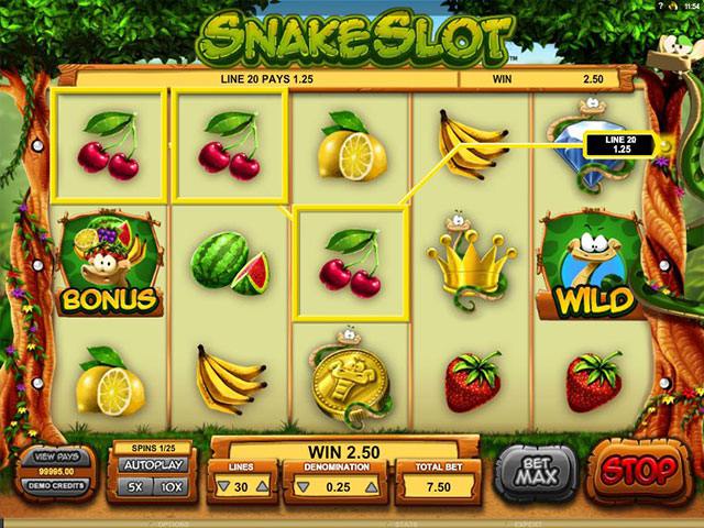 Spelautomater Snake Slot Microgaming SS - wyrmspel.com